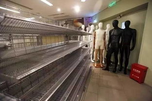 百年零售品牌全线关店 透视中国二手日用百货销售的崛起与变革